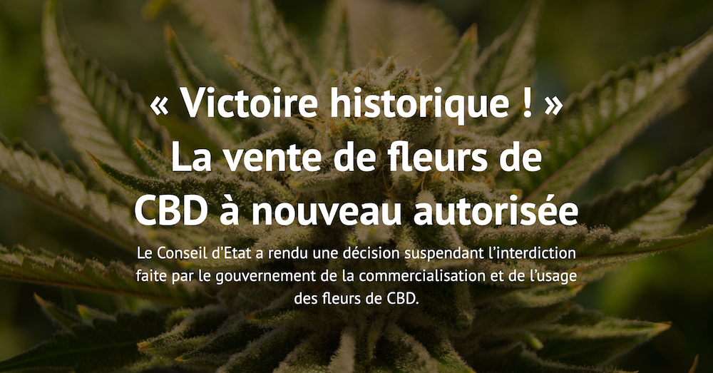 « Victoire historique !» La vente de fleurs de CBD à nouveau autorisée