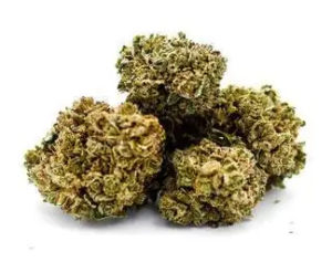 Mandarine Kush (Fleur de CBD)