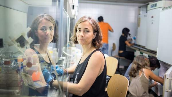 Le cannabis, un tsunami dans le monde de la santé