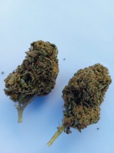 Amnesia CBD | Legalize