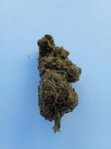 Mango Haze CBD - Legalize