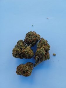 Mini Strawberry CBD | Legalize